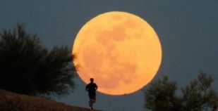 Luna Piena Running
